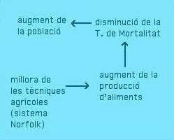 quadre sinòptic